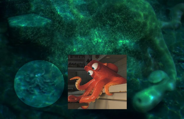 In The Good Dinosaur, Hank the 