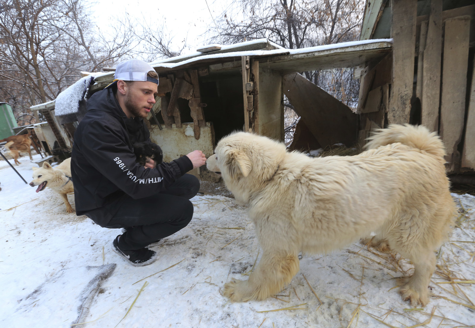 Gus Kenworthy Shows Off Injuries from Playing with His Dog Frank