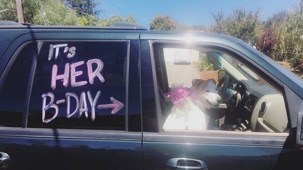 "I drove her around town just so people could appreciate her." —emmam41989cb27