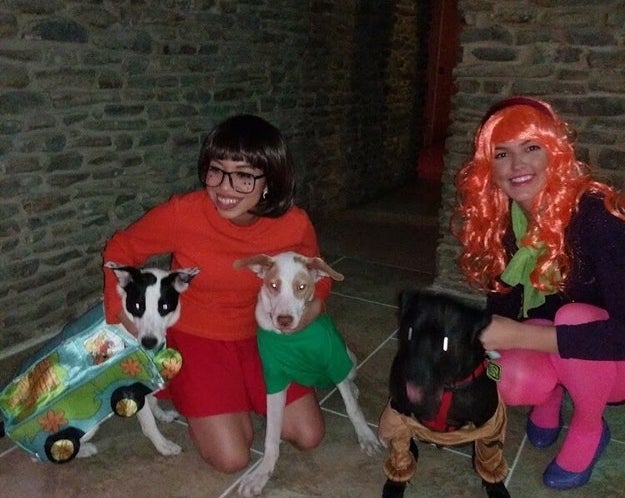 This group costume has more dogs than humans in it.