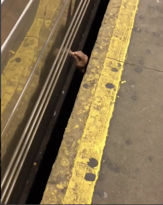The hand waved a few times, then put a cigarette out on the train???