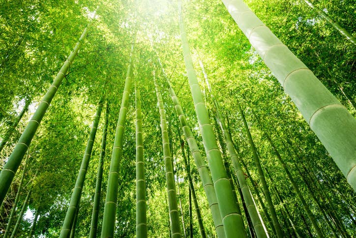 笑う の表現が進化している件www