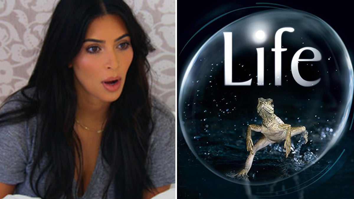 24 Documentaries To Watch If You Want To Be ~Changed~