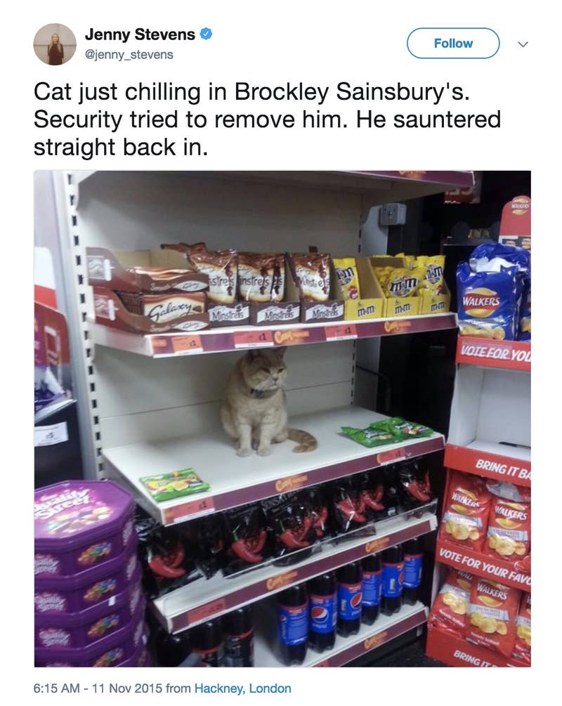 https://img.buzzfeed.com/buzzfeed-static/static/2018-02/27/11/asset/buzzfeed-prod-fastlane-01/sub-buzz-28899-1519748864-1.png?downsize=800:*&output-format=auto&output-quality=auto
