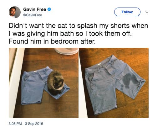 https://img.buzzfeed.com/buzzfeed-static/static/2018-02/27/12/asset/buzzfeed-prod-fastlane-02/sub-buzz-12734-1519752806-12.png?downsize=800:*&output-format=auto&output-quality=auto