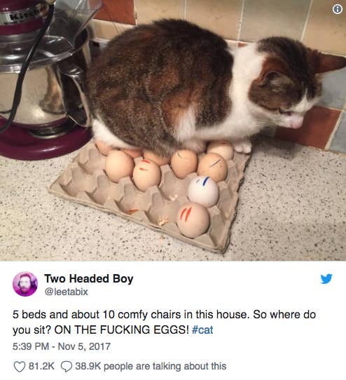 https://img.buzzfeed.com/buzzfeed-static/static/2018-02/27/13/asset/buzzfeed-prod-fastlane-01/sub-buzz-6318-1519757404-5.png?downsize=800:*&output-format=auto&output-quality=auto