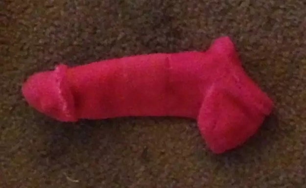 Technically an inside-out sock. (Not a penis.)