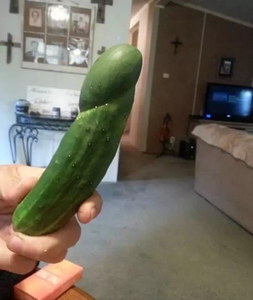 Technically, this is a cucumber, not a penis.