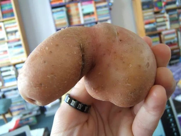 Technically, this is just a potato, not a penis.