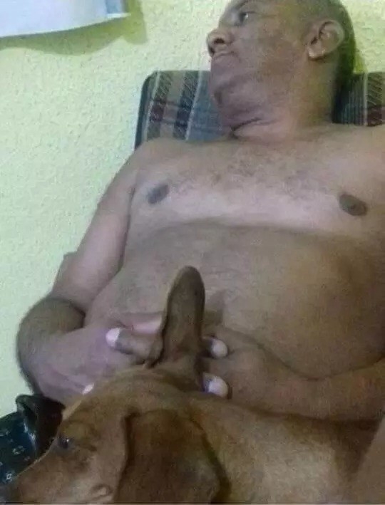 Technically a dog's ear, not a penis.
