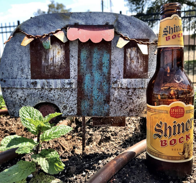 Texas: Shiner Bock.