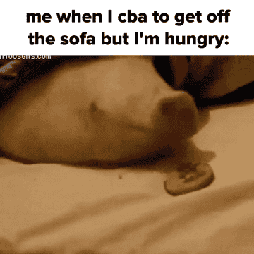 Throw Food Meme 100 Food Memes That Will Keep You Laughing For Days