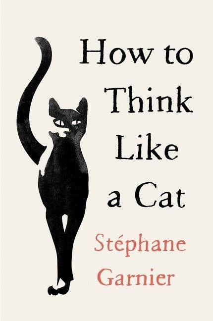 8 Reasons Living Like A Cat Will Make You Much Much Happier
