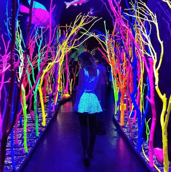 Residents of New Mexico know that Meow Wolf is an eye-popping experience.