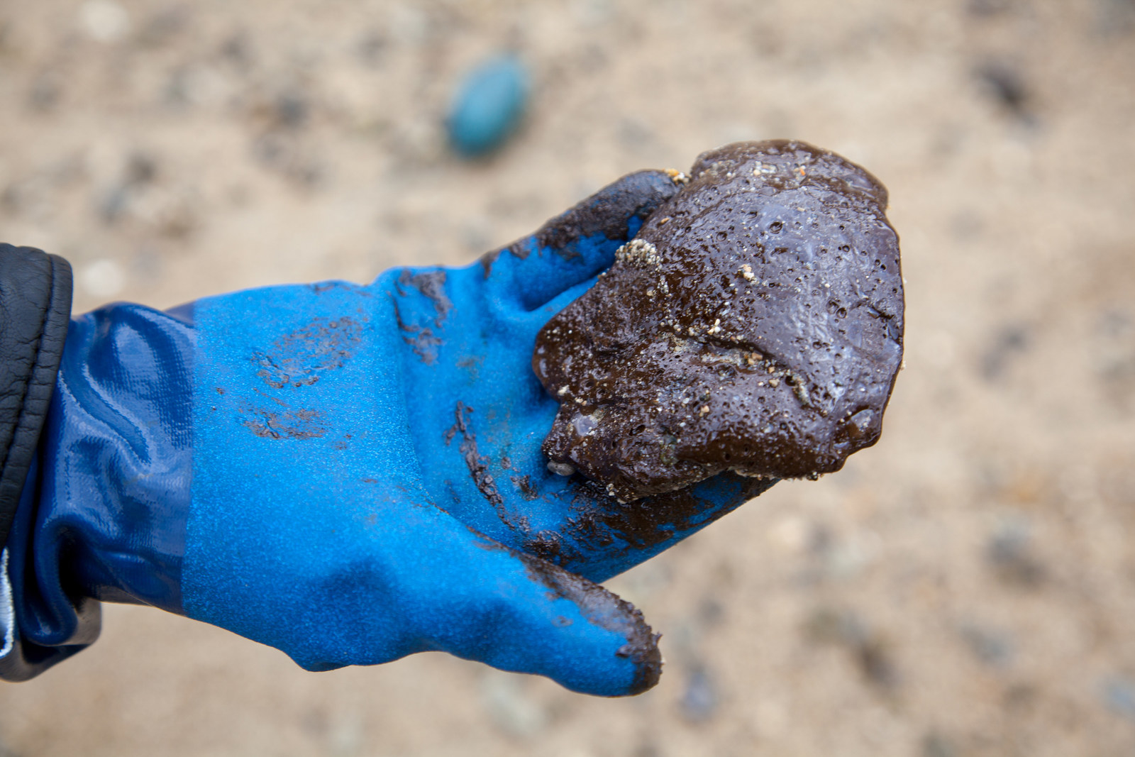 海岸に漂着した油。奄美大島で現地調査をした国際環境NGO「グリーンピース・ジャパン」提供（2月13日撮影）