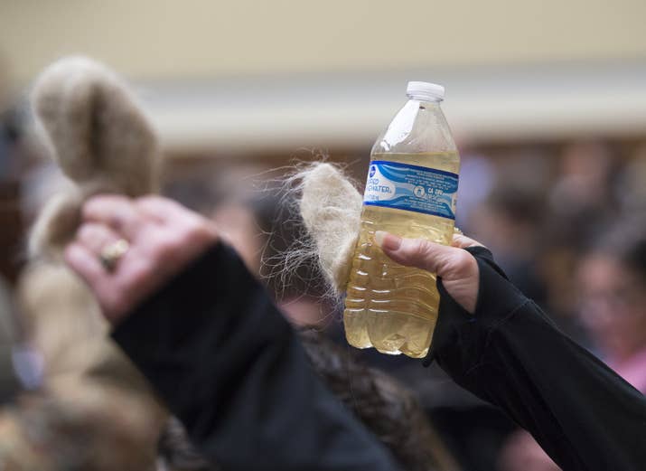 Flint resident Glaydes Williamson holds up water from Flint and hair pulled from her drain Feb. 3, 2016.