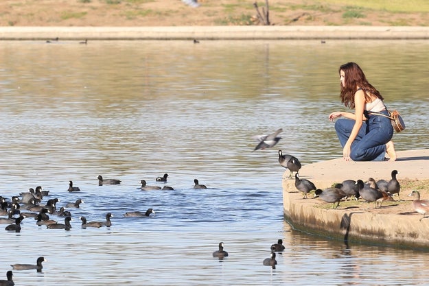 Selena Gomez was spotted last Friday looking rather seducktive at a local Los Angeles pond.