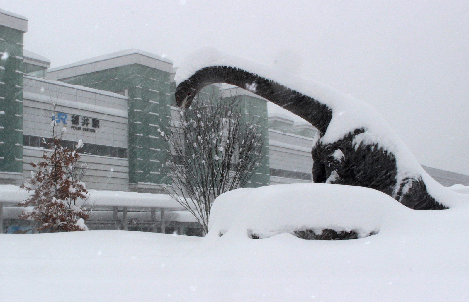 セール 福井 積雪 カメラ