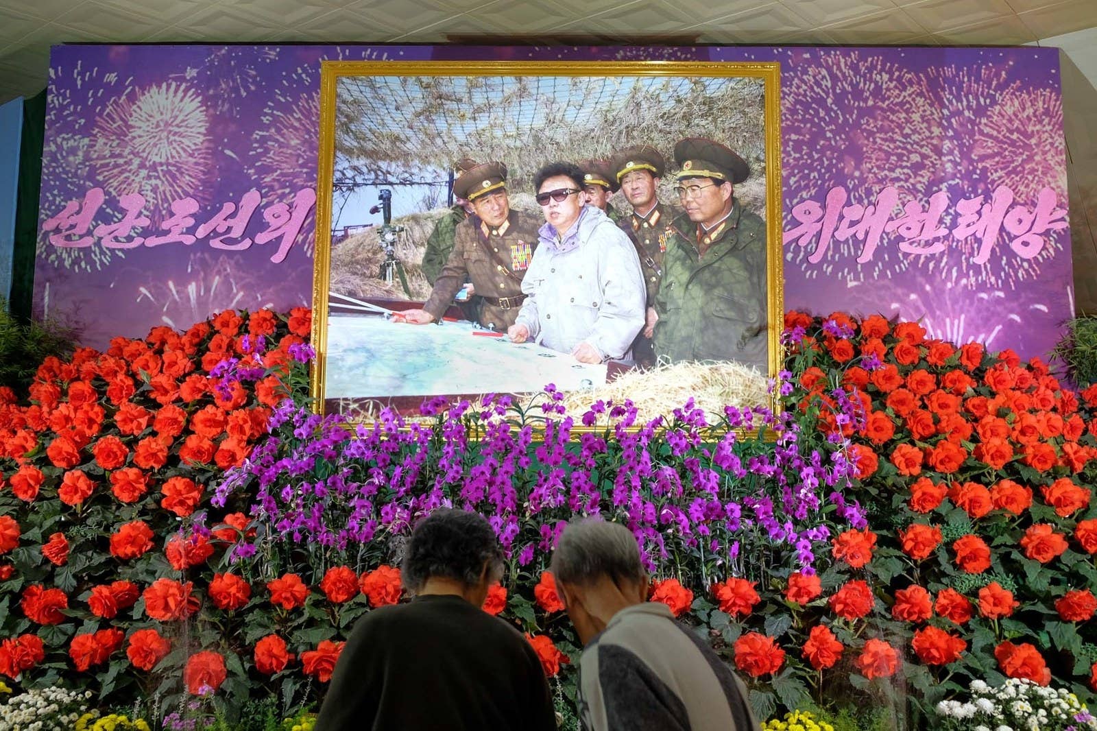 Locals admire Kimjongilia (red) and Kimilsungia (purple) flowers at a flower festival in Pyongyang.