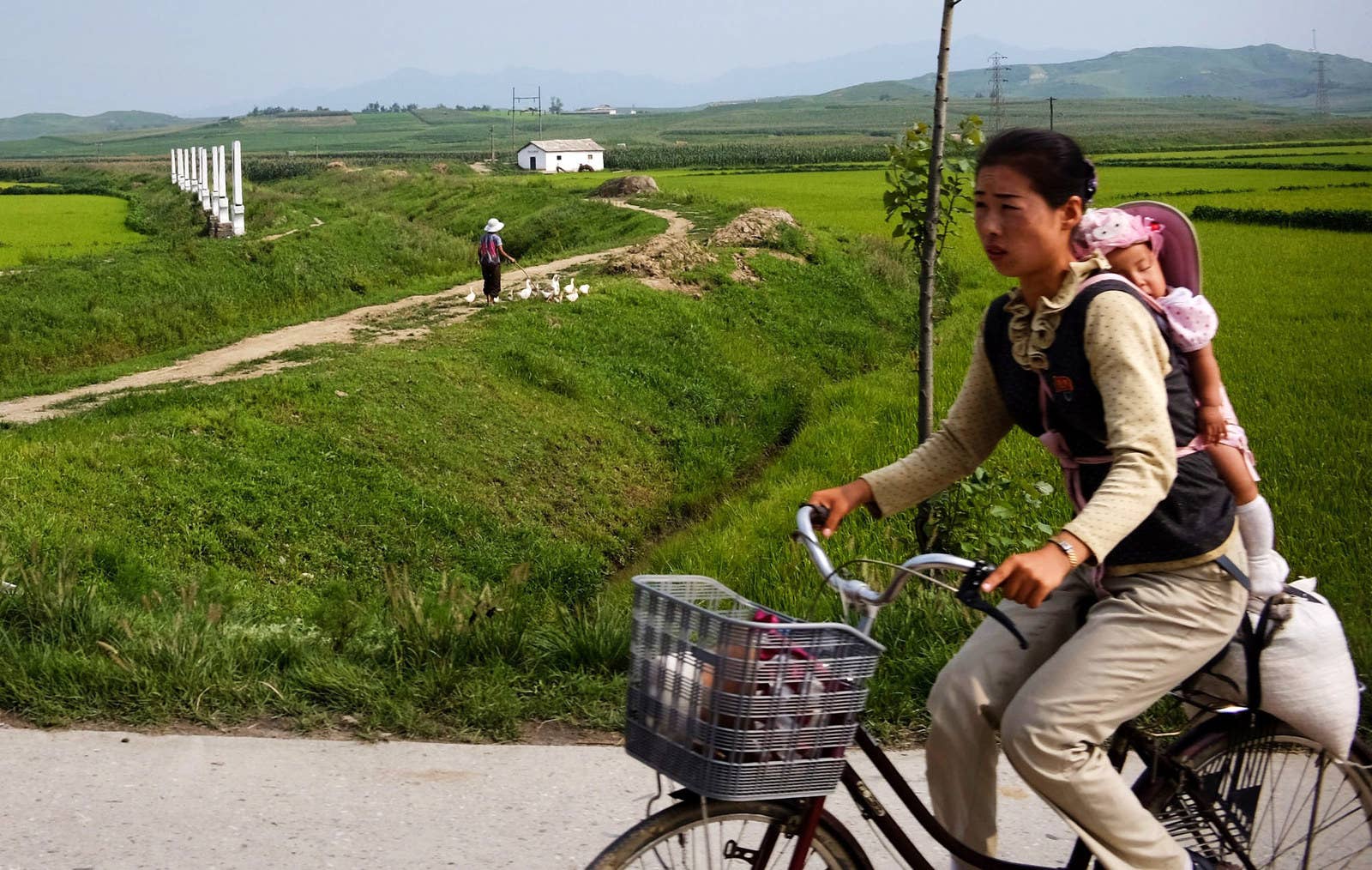 A cyclist rides through rural North Korea.