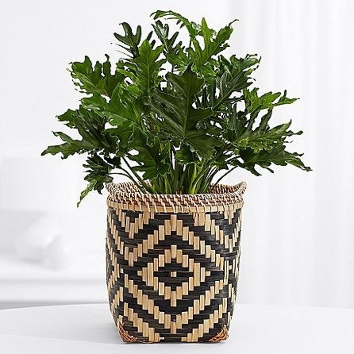 43 Housewarming Gifts People Actually Want