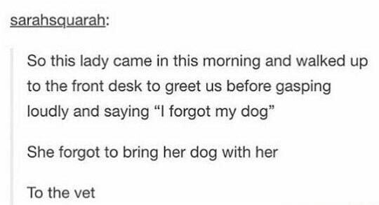 This dog owner: