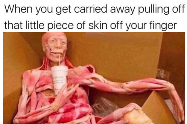 18 Funny Tweets About People S Last Brain Cells That Ll Make You Lol Hard