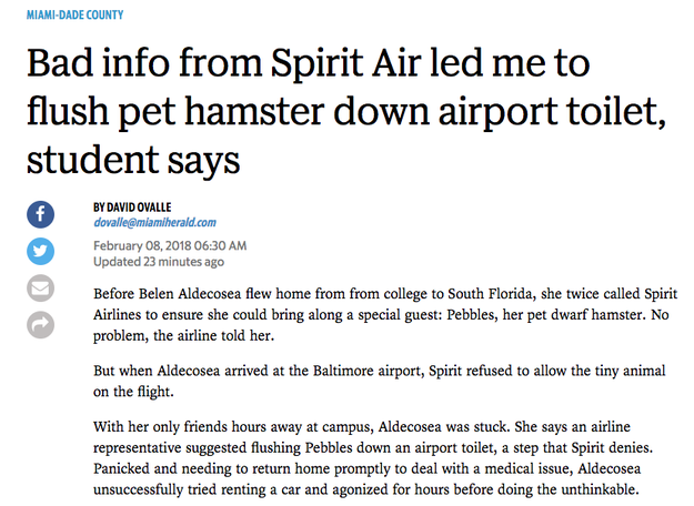 By now you have heard of the young woman who claims she flushed her hamster down an airport toilet because an airline employee told her to after she couldn't board a plane with the creature. You probably have some questions!