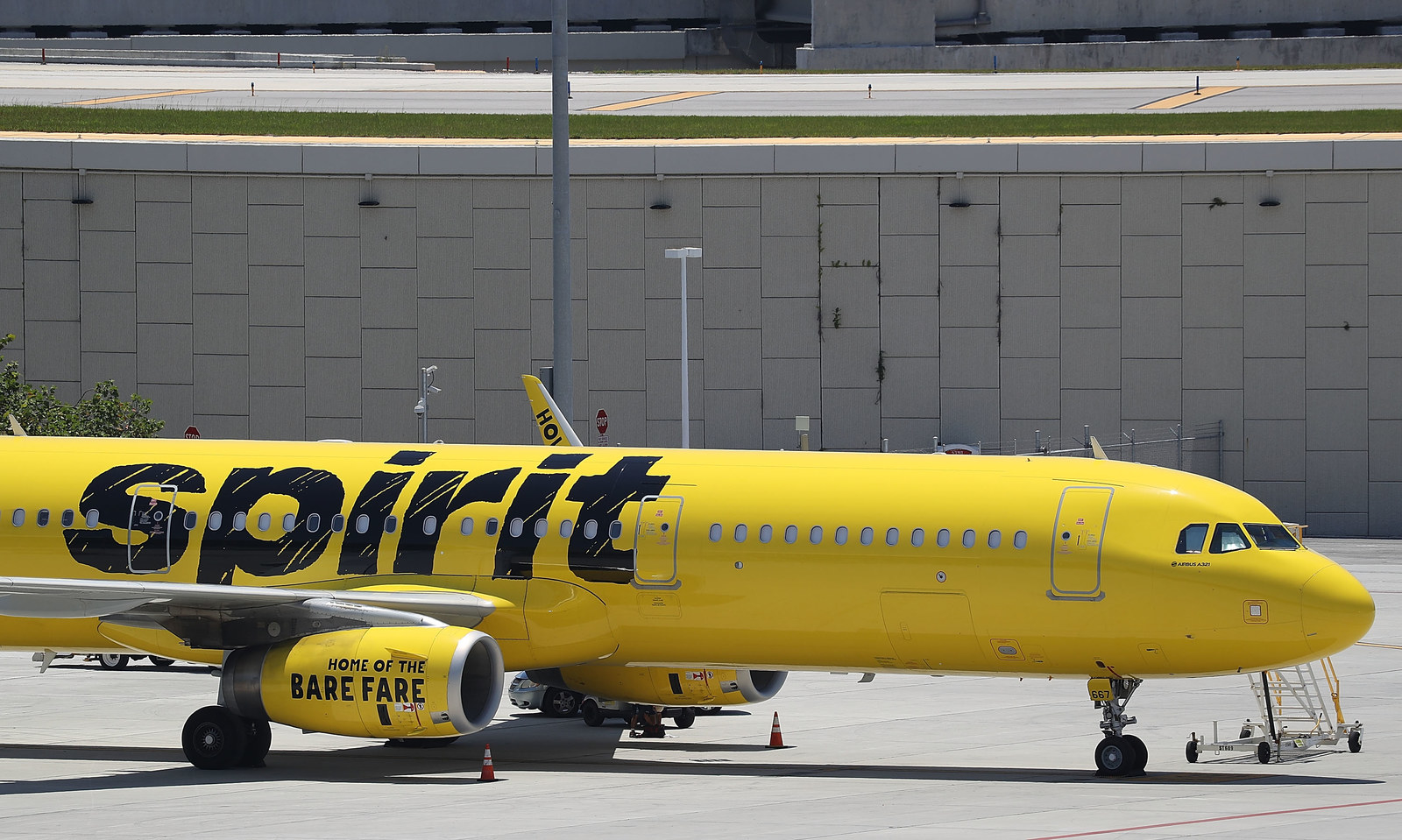 Woman Who Flushed 'Emotional Support Hamster' Down Toilet May Sue Airline