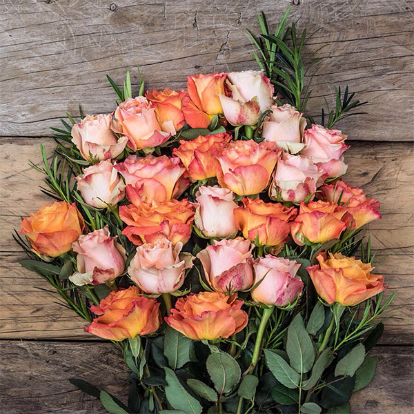 ICYMI, red roses are out and sunset roses are in. SenseEcuador provides premium quality roses grown in the eco-friendly highlands of Ecuador. They're Fair Trade Certified and ship free anywhere in the U.S.