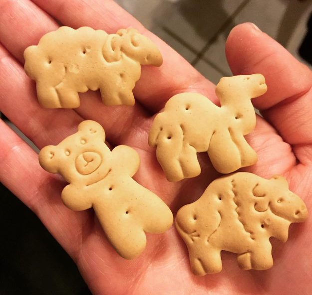 Animal crackers are a must. They taste like cookies, but they're called crackers so they must be healthy.