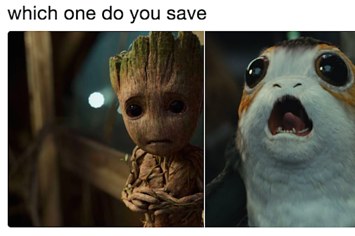 Meu Deus, o Groot na verdade está morto, e o bebê Groot é filho dele
