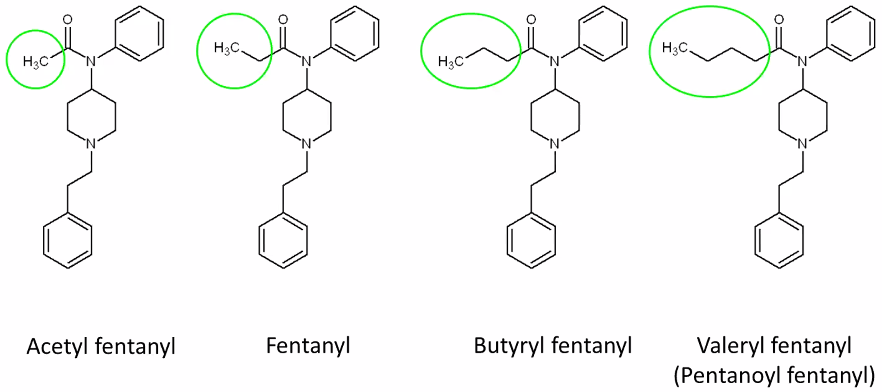 Five Years Ago, Fentanyl Was An Obscure Hospital Drug. Here's How It  Completely Took Over The US Illicit Drug Market.