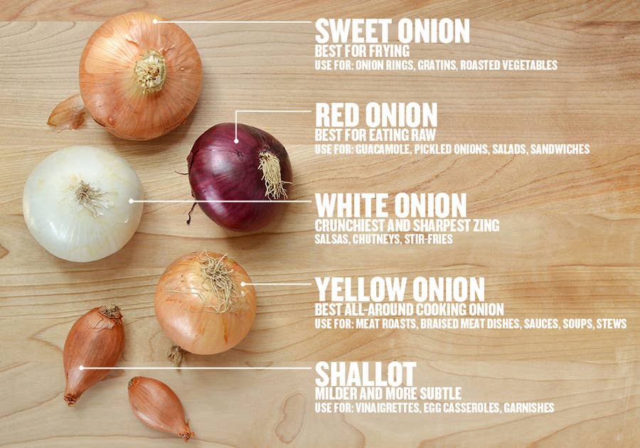 Onion / Tomato Slicing Guide - CooksInfo