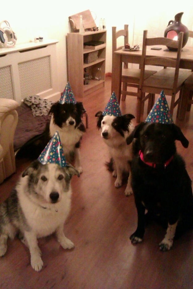 Look at these silly boyes who don't know what to do with their party hats!!!