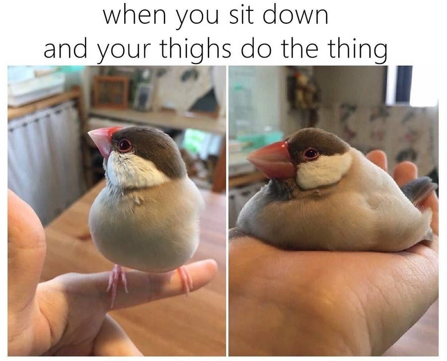 21 Very Specific Things Only Girls With Thick Thighs Understand