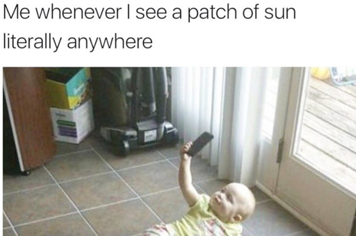 17 Memes That Ll Make Anyone Obsessed With Selfies Say Same