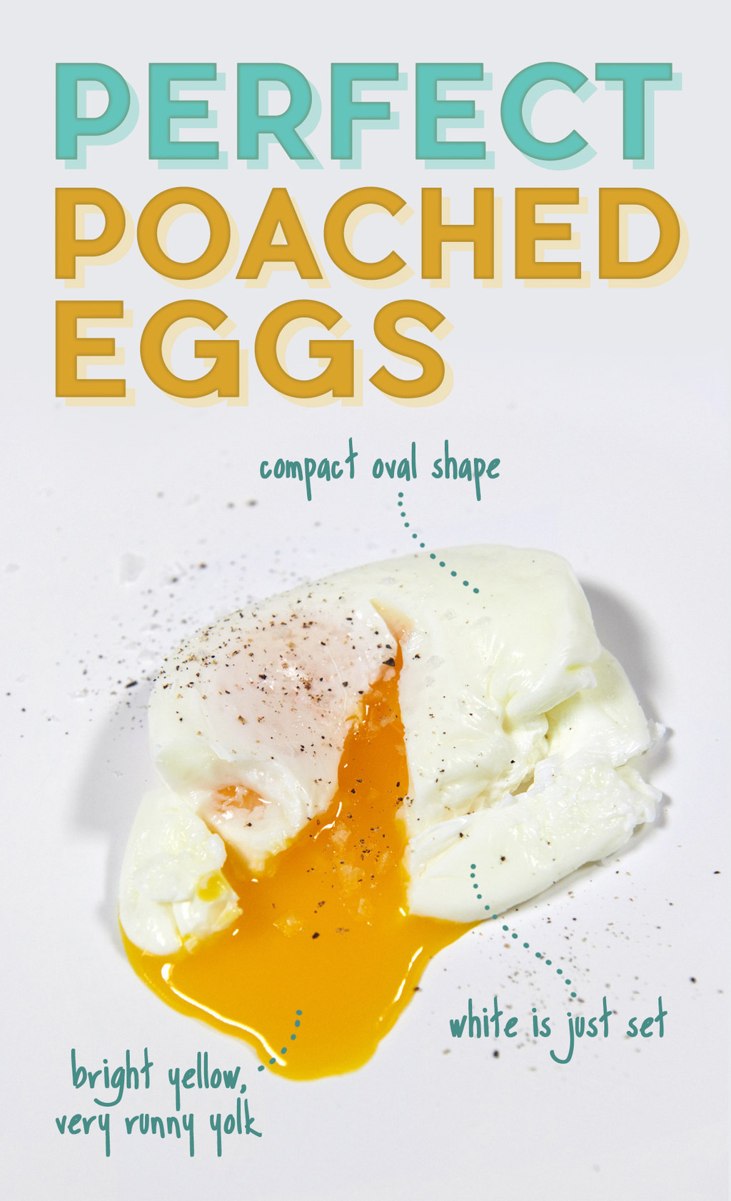 A perfect poached egg, with a compact oval shape, just set whites, and a bright yellow, very runny yolk