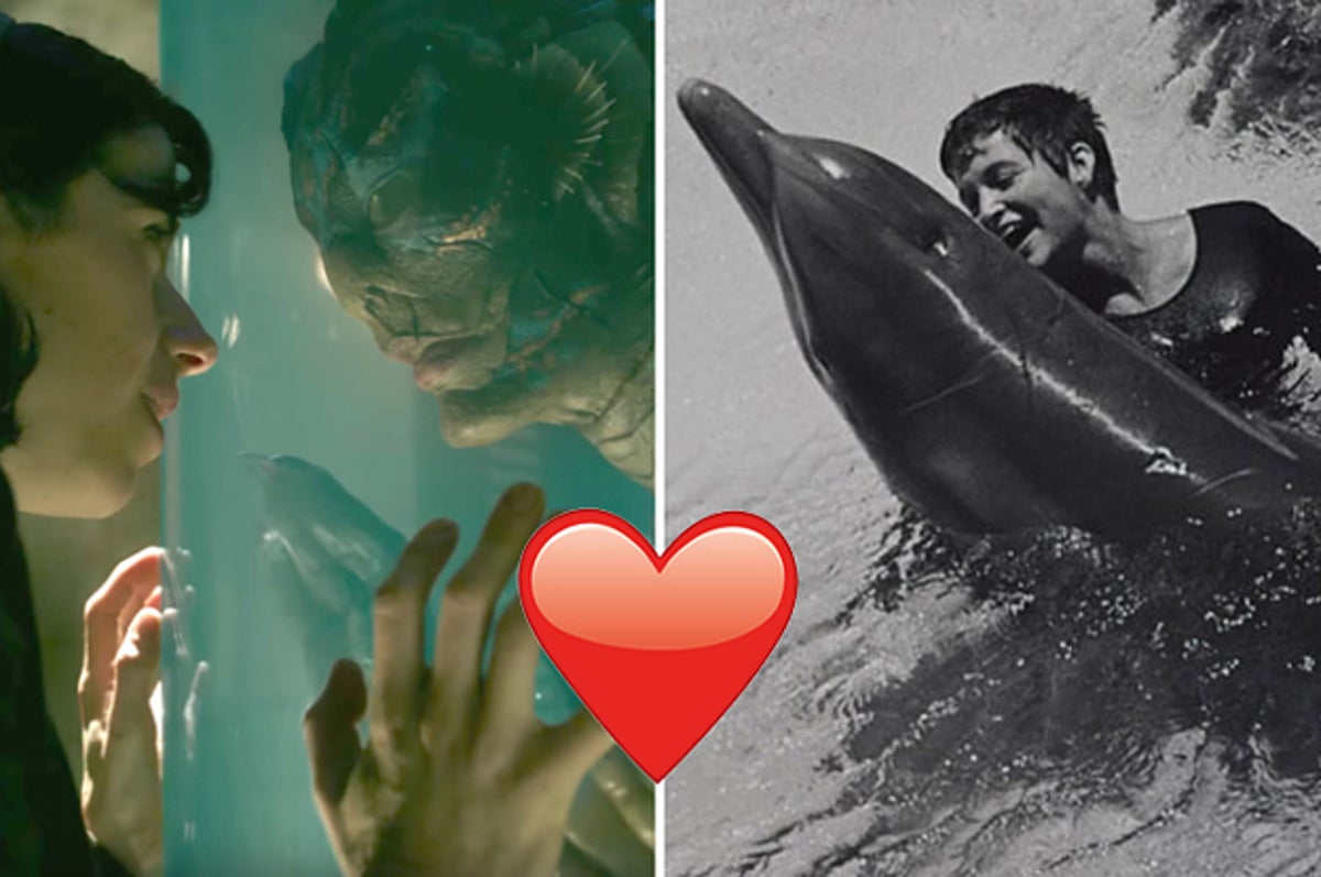 This 1960s Love Story About This Woman And Dolphin Is 