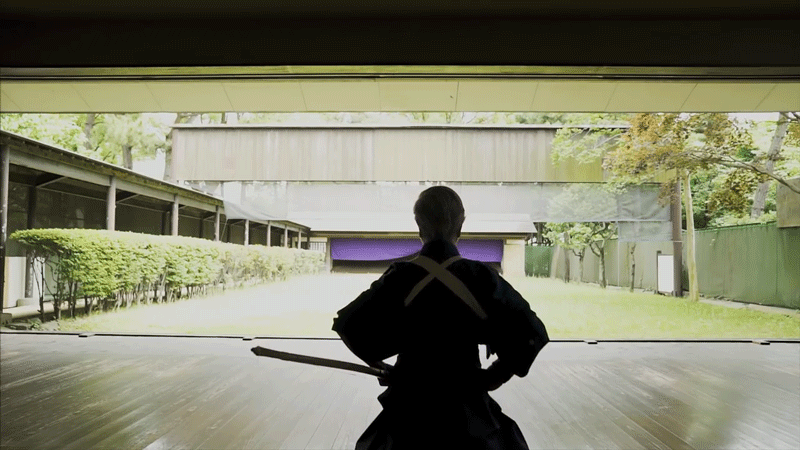 Dou is a lifelong pursuit of excellence, both physical and spiritual. It is not a word in itself, but a character that is attached to another art — e.g., judo and karatedo — and masters in Japan will dedicate their entire lives to the pursuit of the dou way.