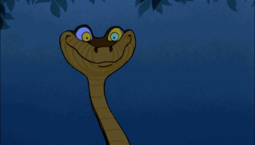 After the Ice Age, Ireland was just too cold for snakes, so there weren't any there for the saint to banish! But hey, take all the credit you can get, right Maewyn?