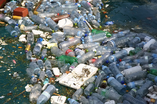 However, researchers still suggest limiting your consumption, and exposure to, plastic in your daily life.