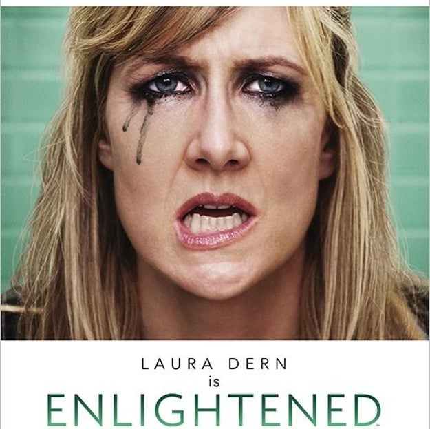 Enlightened (2011-2013)