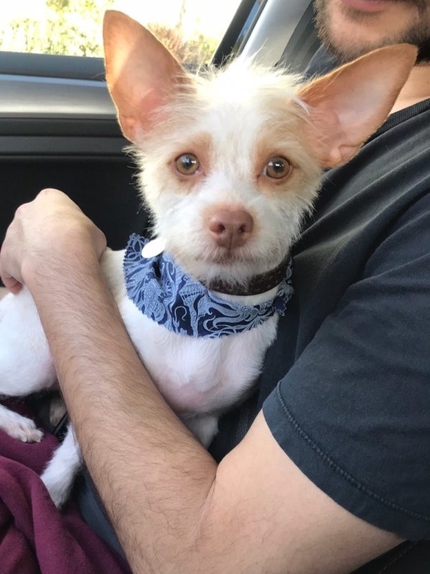 "She always looks like a concerned mom who cut her hair too short up top." —laray3