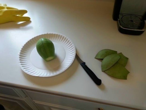 Just look at this perfectly-peeled avocado.