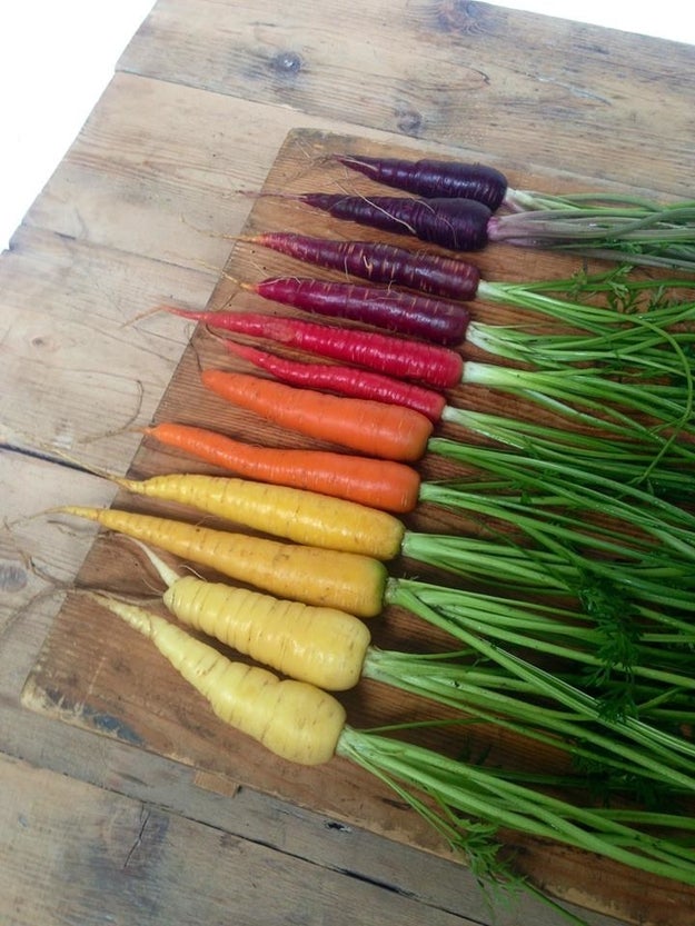 Bless anyone who takes the time to put their carrots in rainbow order.