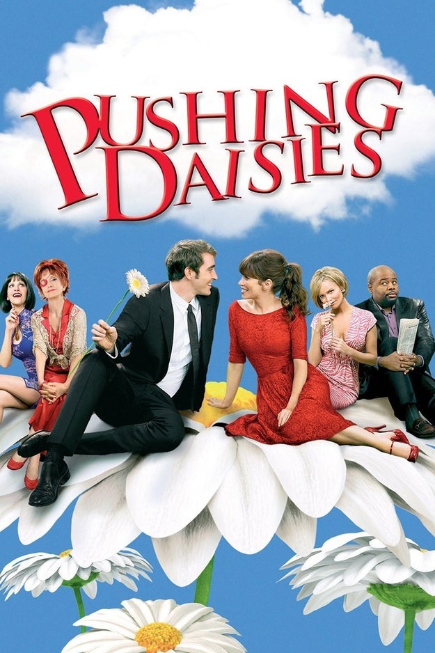 Pushing Daisies (2007-2009)