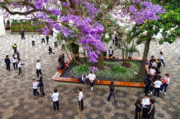 Dante Alighieri escola de elite em SP n o aceita repetentes e