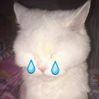 BuzzFeed profile picture for @chateau