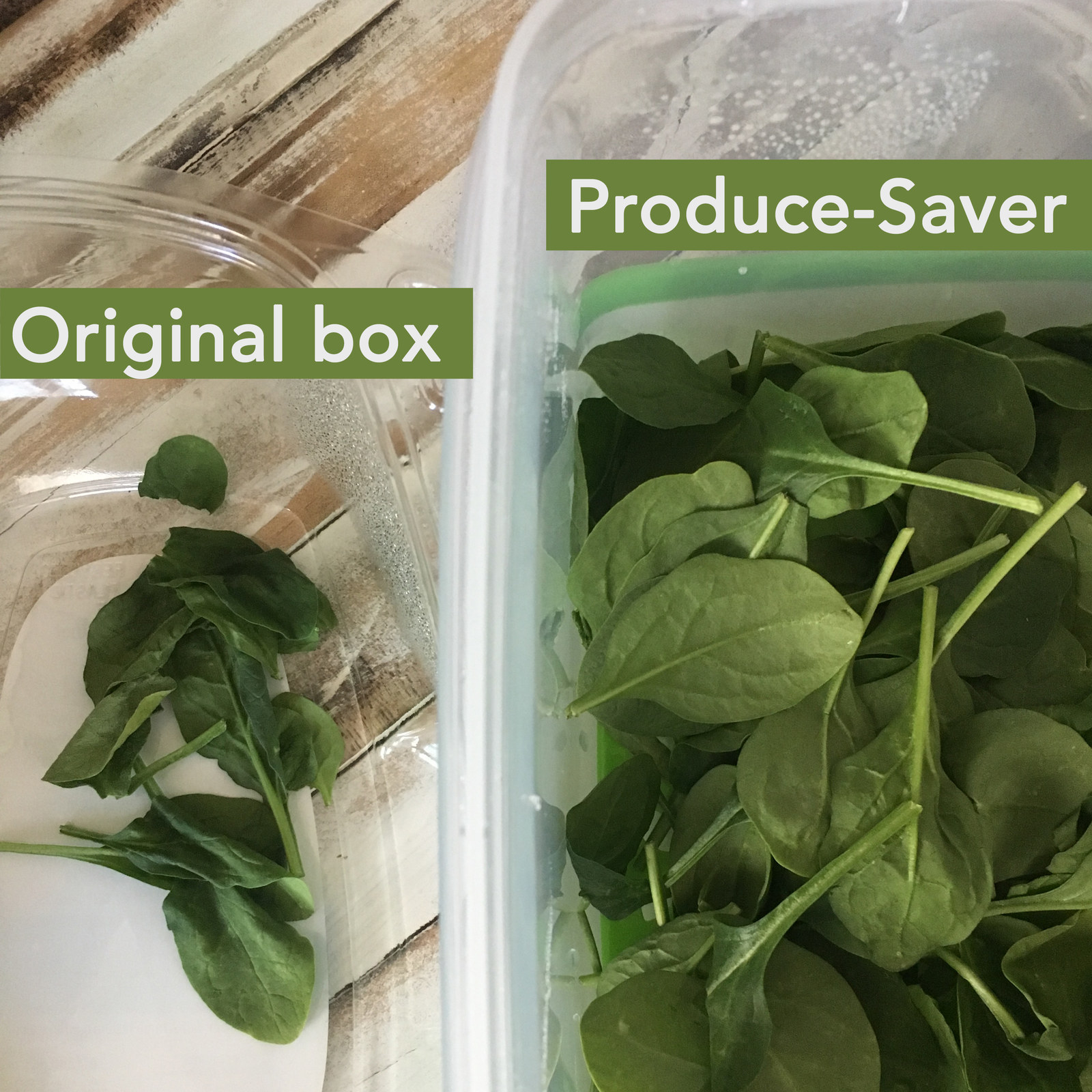 How to Make your own Produce Saver Containers for Cheap - Karlie Belle